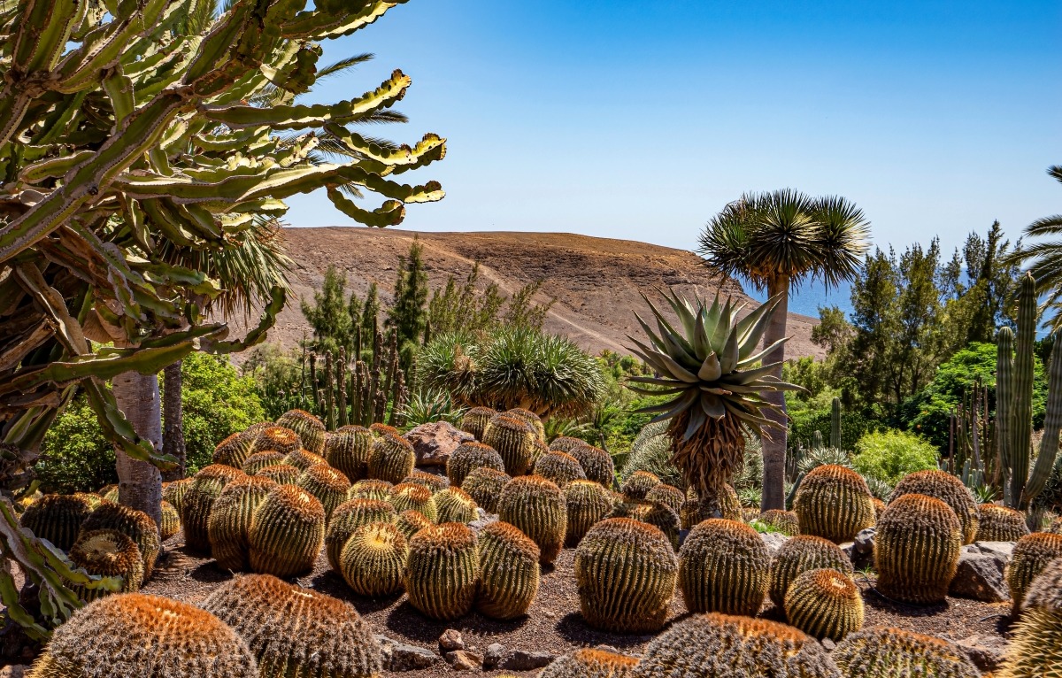 destination detail gallery